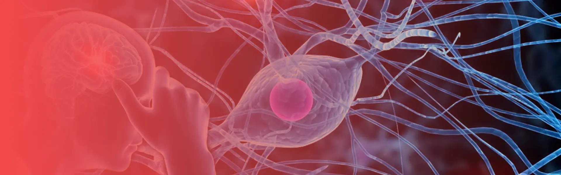  Neurological Rehabilitation