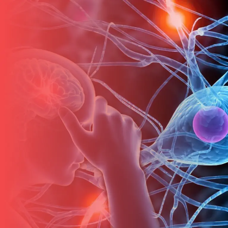  Neurological Rehabilitation